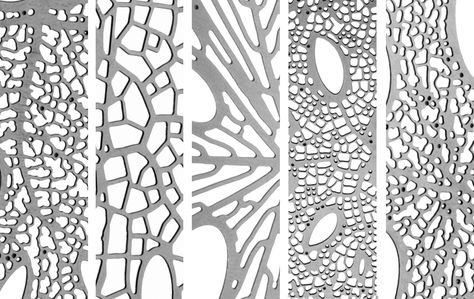 examples of the range of interior network patterns Voronoi Diagram, Leaf Patterns, Generative Design, Digital Fabrication, Parametric Design, Design Apartment, Organic Pattern, Cut Paper, Plant Species