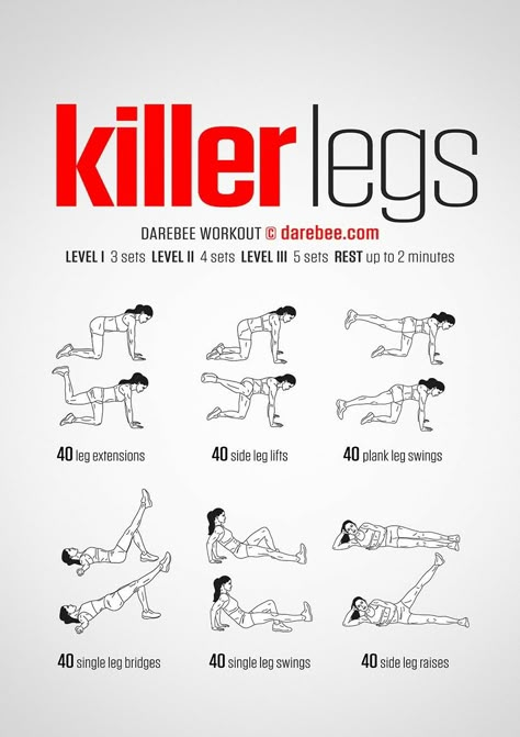 Darebee Workout, Killer Leg Workouts, Pilates Workout Routine, Leg Workout At Home, Killer Legs, Leg Workouts, Trening Fitness, Body Workout Plan, Yoga Exercises