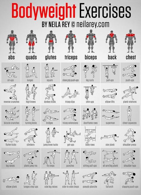 Body Weight Exercises Fitness Studio Training, Latihan Dada, Gym Antrenmanları, Bodyweight Exercises, Fitness Routines, Fitness Outfits, Fitness Plan, Trening Fitness, Weight Training Workouts