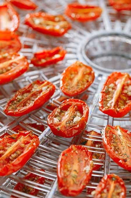 Dehydrator Recipes Fruit, Roasted Tomato Recipes, Make Sun Dried Tomatoes, Dehydrating Food Storage, Food Dehydration, Oven Roasted Tomatoes, Dehydrated Vegetables, Dehydrated Fruit, Dehydrated Food