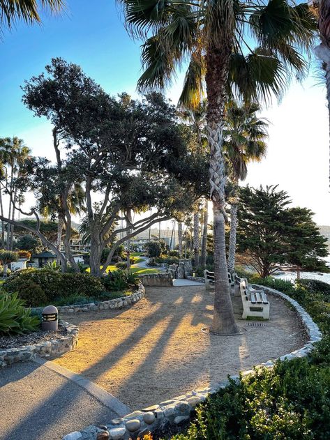 There are many small, quiet seating areas along the bluff top trail in Heisler Park in Laguna Beach, which makes for a nice place to sit and contemplate the beauty of the Califorina coast. Heisler Park Laguna Beach, Heisler Park, Nice Place, Laguna Beach, Seating Area, The Beauty, The Good Place, Beauty