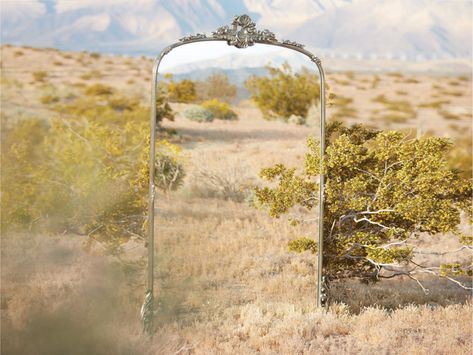 Amelie Wooden Arched Mirror in Silver | Arhaus Furniture Arhaus Furniture, Dining Cabinet, Leaner Mirror, Arched Mirror, Unique Mirrors, Floor Mirrors, Functional Home, Cabinet Accessories, Coastal Farmhouse