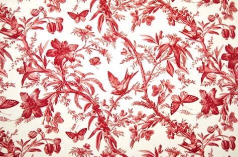 A red toile with birds, butterflies, and passion flowers. A toile fabric for red lovers only! Tree branches with leaves, flowers, and berries form a strong diagonal pattern across the fabric. Birds perch here and there as butterflies fly by. #toile #toile_fabric #toile_de_jouy #butterflies #butterfly #birds #fabric #sewing #houzz #red_toile_fabric #red_toile Red Print Fabric, Red Toile Wallpaper, Flowers Sewing, Red Flower Design, Fabric Bird, Sewing Upholstery, Red Toile, Passion Flowers, Flower Print Pattern