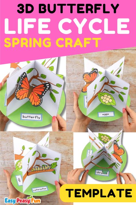 Flutter into the season with our captivating 3D Butterfly Life Cycle Craft! Designed for the youngest kids and nature enthusiasts alike, this paper craft merges the beauty of butterfly crafts with the charm of spring crafts and activities for kids. With easy-to-follow instructions and a printable template, watch your little ones create their vibrant life cycle of a butterfly craft. Butterfly Life Cycle Diorama, Life Cycle Of Butterfly Activities, 3d Butterfly Life Cycle Craft Template Printable, Life Cycle Of A Butterfly Craft, Life Cycle Of A Butterfly Preschool, Butterfly Preschool Craft, Butterfly Activities For Preschool, Butterfly Life Cycle Preschool, Paper Craft Animals