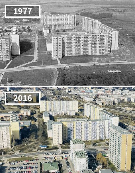 Birds Eye View City, Then And Now Pictures, Then And Now Photos, A Group Of People, Paris Pictures, Paris City, World Cities, Group Of People, Historical Pictures