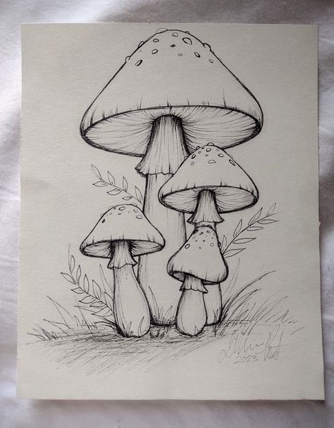 Cute Boho Drawings, Sketch Ideas Mushroom, Sketch Of Mushroom, Mushroom Pencil Sketch, Simple Drawings Nature, Sketch Book Mushroom, Mashrooms Drawing Ideas Easy, Simple Nature Sketches, Mushroom Drawing Pencil