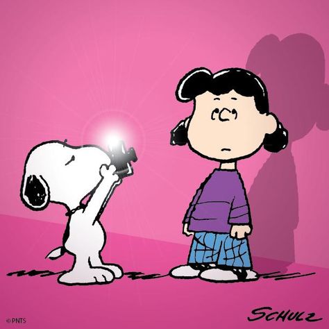 Peanut Pictures, Charlie Brown And Friends, Brown And Friends, Snoopy And Charlie Brown, Lucy Van Pelt, Peanut Gang, Peanuts Comic Strip, Peanuts Cartoon, Puppy Art