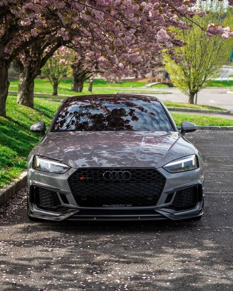 RS5 🌸🌸 . . 🔑: @audipixs.rs5 . . #explore #insta #instagram #audi #lv4audi #audilife #cargram #cars #audigramm #audilove #page #feed #carlife #audilyfe #engage #connect #inspire #cargirls #engageandinspire #interactivecontent #connecttoconvert #engagementelevantion #audirs #audirs5 #audirs5fanclub #audia5 #audis5 #carswithnolimits #audirs5club Audi Sedan, Audi Rs5, Audi S5, Audi Rs6, Audi Rs, Audi A5, Future Car, Car Girls, Insta Instagram