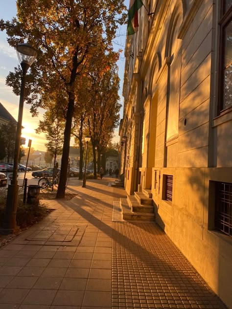 Sunshine Morning, 숲 사진, Sunrise City, Street Background, Walking City, Photography Autumn, Scenery Photography, Providence Ri, City Vibe