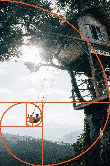 Composition Golden Ratio, Golden Ratio Photography, Golden Ratio Composition, Tree Composition, Wooden Tree House, Rules Of Composition, The Rule Of Thirds, Photography Rules, Photography Composition