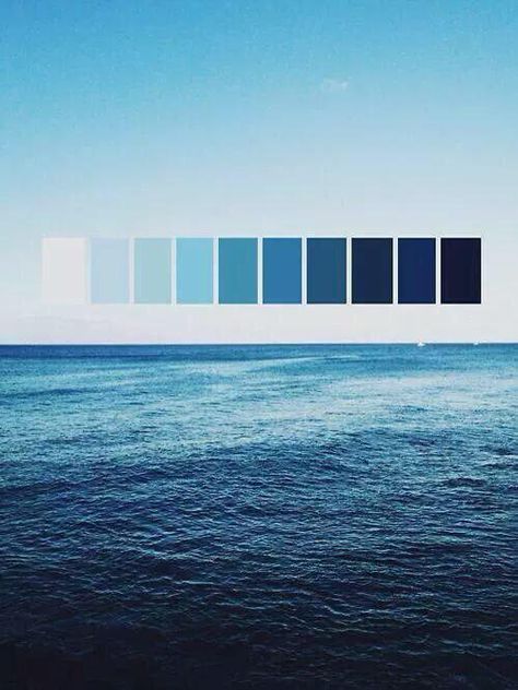 Imgur: The most awesome images on the Internet. Everything Is Blue, Blue Colour Palette, Feeling Blue, Colour Schemes, Color Pallets, Color Theory, Blue Aesthetic, Colour Palette, Color Inspiration