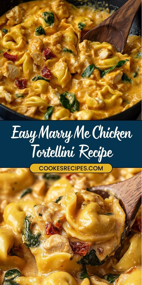 Chicken Cheese Tortellini, Marry Me Chicken Tortellini, Main Dinner Dishes, Crock Pot Tortellini, Cheese Tortellini Recipes, Food For Work, One Pot Chicken Recipes, Tortellini Recipe, Week Night Meals