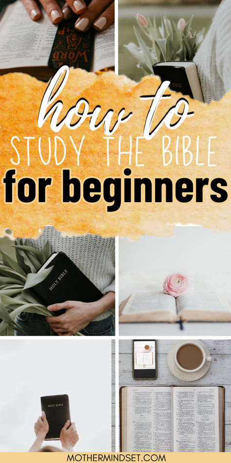 bibles open, pin for how to study the bible for beginners a complete guide Women's Bible Study Lessons, Bible Study Guide For Beginners Women, Womens Bible Study Ideas Activities, Bible Study Lessons For Women, Bible Study Plans For Women, How To Study The Bible, Bible Study Guide For Beginners, Study The Bible For Beginners, Woman Bible Study