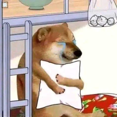 Dog Template, Wholesome Pictures, Cute Funny Pics, Spongebob Funny, Funny Animal Photos, Lol Memes, Funny Reaction, Funny Doodles, Cartoon Memes