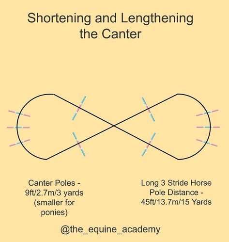 Showjumping & Biomechanics Coach on Instagram: "Are you shortening and leg thing whilst keeping a quality canter or just getting faster/slower & flatter? This exercise is a good test to collect the canter and keep the impulsion over the canter poles on the turn and lengthen through the longer distance. These are based off horse distances, shorten appropriately for ponies. #polework #poleworkforhorses #canter #showjumpingexercises #flatworkforshowjumpers #flatwork #canterpoles" Canter Poles Exercises, Pole Work Exercises For Horses, Jump Exercises, Pole Exercises, Horse Jumping Exercises, Jumping Exercises, Horse Riding School, Dressage Exercises, Horse Training Exercises