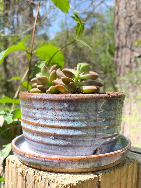 Pottery Wheel Vase Ideas, Thrown Pottery Ideas Unique, Unique Thrown Pottery, Wheel Spun Pottery, Beginner Throwing Pottery Projects, Pottery Wheel Planter, Plant Pots Pottery Ideas, Beginner Clay Wheel Projects, Wheel Thrown Pots