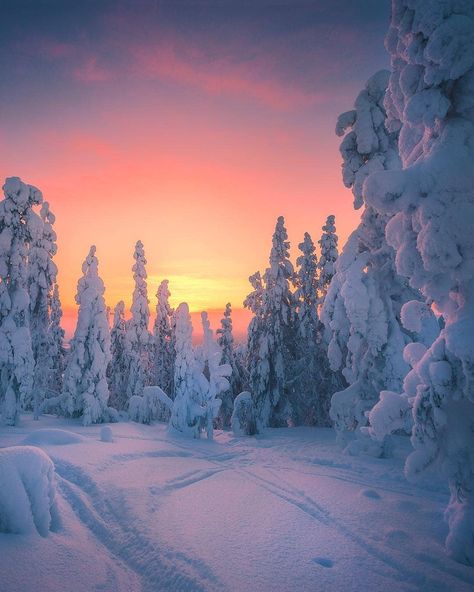 Winter Poster, Lapland Finland, Image Nature, Winter Wallpaper, Winter Scenery, Snow Scenes, Winter Pictures, Winter Wonder, Winter Solstice