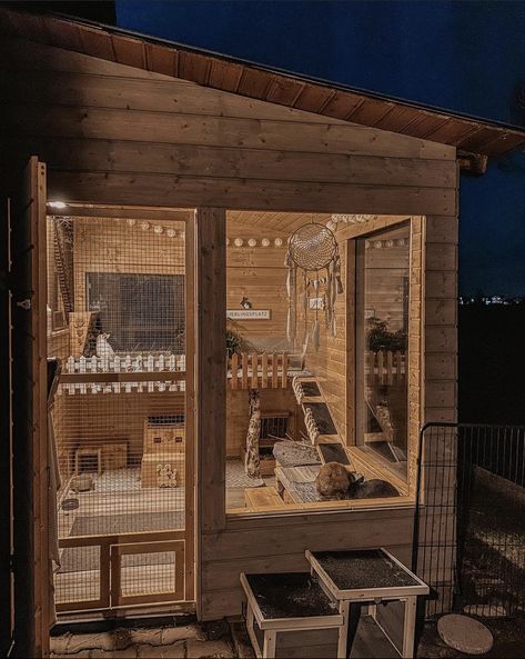 Bunnie Cages Outdoor, Shed Cat House, Shed Bunny House, Rabbit Enclosure Ideas Outdoor, Bunny Indoor House Ideas, Boho Bunny Enclosure, Bunny Cage Ideas Outdoor, Bunny Hutches Outdoor, Bunny Sheds Outdoor