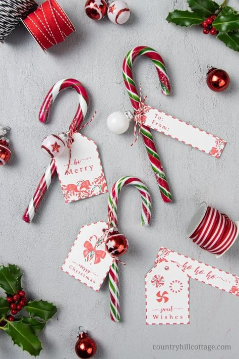 Super easy DIY candy change gift idea! It takes one than a 1 minute to decorate a candy cane with twine and a free printable holiday gift tag. This simple and affordable handmade holiday gift ideas is great for teachers, the mailman, helpful neighbors, study groups, coworkers, or anyone difficult to shop for and an easy craft idea for teachers and kids. Tab for the printable Christmas gift tags. #candycane #candycanegifts #gifttag #holidaygift #christmasgifts #gift | countryhillcottage.com Candy Cane Gift Tags, Free Holiday Gift Tags, Holiday Gift Tags Printable, Candy Cane Gifts, Christmas Gift Tags Diy, Christmas Candy Gifts, Decorate Christmas, Easy Diy Christmas Gifts, Tags Diy