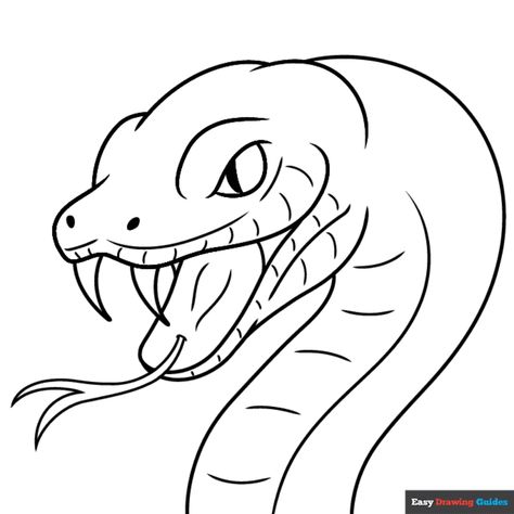 Free Snake Face and Head Coloring Page for Kids Reptile Coloring Pages, Face Coloring Pages, Snake Face, Scary Coloring Pages, Dinosaur Coloring Sheets, Face Coloring, Snake Coloring Pages, Elephant Coloring Page, Free Printable Coloring Sheets