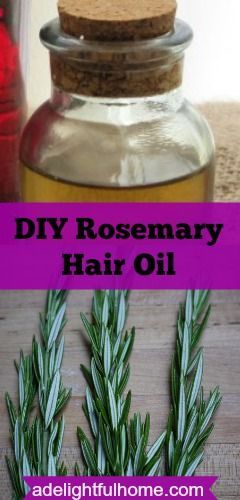 DIY Rosemary Hair Oil - A Delightful Home Make Rosemary Oil, Hair Rosemary, Benefits Of Rosemary, Rosemary Hair Oil, Diy Hair Oil, Rosemary Hair, Rosemary Oil For Hair, Best Hair Mask, Coconut Oil Hair Mask