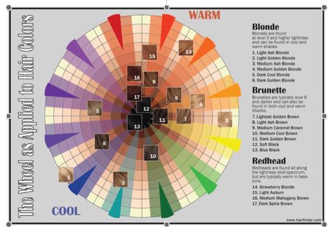 Hair Color Wheel, Matrix Hair Color, Colour Wheel Theory, Clairol Hair Color, Color Wheel Projects, Clairol Hair, Matrix Hair, Light Ash Brown, Professional Hair Color