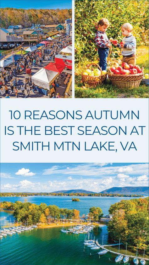 10 Reasons Why Fall is the Best Time to Visit Smith Mountain Lake - Smith Mountain Lake Insiders' Guide 2024 Smith Mountain Lake Va Things To Do, Smith Mountain Lake Virginia, Smith Mountain Lake Va, Lake Activities, Smith Mountain Lake, Fall Fishing, Real Estate Education, Lake Vacation, Community Park