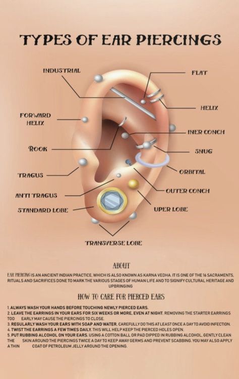 Air Piercings Ideas, Earrings Piercings Names, Ear Piercings Types Chart, Earring Types Chart, Piercings Ear Labeled, All Piercings Types Ear, Earing Placement Names, Different Type Of Piercing, Types Of Ear Piercings Chart Names