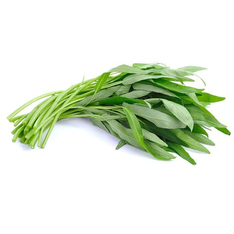 Fresh Thai morning glory (water spinach) 200g - imported weekly from T – Thai Food Online (authentic Thai supermarket) Frozen Lime Margarita Recipe, Thai Veggies, Lime Juice Margarita, Lime Cocktails, Soup Aesthetic, Yong Tau Foo, Lime Margarita Recipe, Cypress Vine, Birds Eye Chili