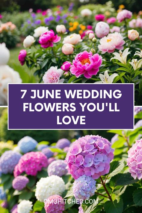 Planning a June wedding? Discover these 7 amazing flowers that will make your special day blooming beautiful! From pretty hydrangeas to sweet peonies, each flower brings its own special charm. Want colorful hues and romantic vibes? These blooms are perfect to create a lovely wedding atmosphere! Check out the best choices that will match your wedding theme and impress your guests. Save this pin for flowers that will make your wedding DAY HERE the best memory ever! Follow us for more great wedding tips! June Flowers In Season Wedding Bouquets, Spring Flowers For Wedding, May Wedding Flowers In Season, June Flowers In Season, Types Of Flowers For Wedding, Early June Wedding, Fairy Lights Wedding Reception, May Wedding Flowers, June Wedding Colors