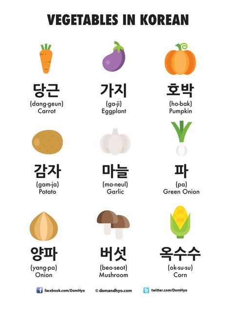 Hey everyone! Here is today's vocabulary: Vegetables in Korean.#DomAndHyo #KoreanLanguage #Korean Korean Basic Vocabulary, Vegetables In Korean, Korea Vocabulary, Colors In Korean, Korea Learning, Korean Alphabet Hangul, Korean Vegetables, Korean Vocab, Korean Learn