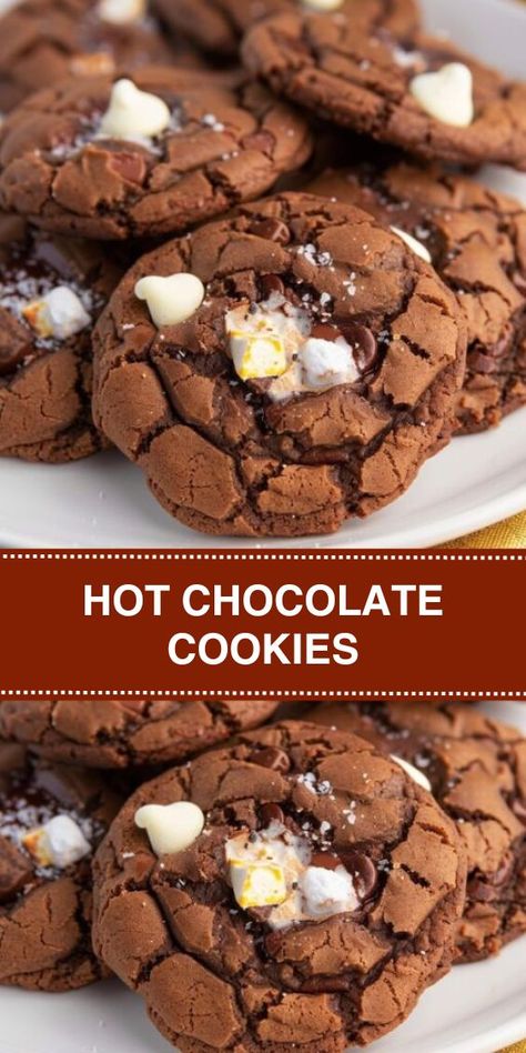 Discover the ultimate Hot Chocolate Cookies recipe! These easy-to-make, delicious cookies combine rich cocoa, gooey marshmallow bits, and sweet chocolate chips. Perfect for any occasion, this recipe will quickly become a family favorite. Enjoy warm, chewy cookies that taste like a cup of hot cocoa in every bite. Ideal for holiday baking, cozy winter treats, or a simple sweet craving fix. Cocoa Chocolate Chip Cookies, Hot Chocolate Chip Cookies, Hot Cocoa Marshmallow Cookies, Hot Cocoa Cookies With Marshmallows, Hot Chocolate Cookies With Marshmallows, Hot Cocoa Cookies Recipe, Cocoa Cookies Recipe, Winter Cookies Recipes, Hot Chocolate Cookies Recipe