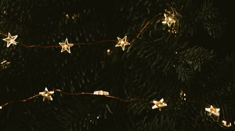 Download wallpaper 1920x1080 garland, stars, tree, decoration, new year full hd, hdtv, fhd, 1080p hd background Hd Wallpaper Desktop Aesthetic, Christmas Cosy, Stars Garland, Wallpaper Tree, Desktop Aesthetic, Decoration New Year, Christmas Tv, New Year Background, Wallpaper 1920x1080