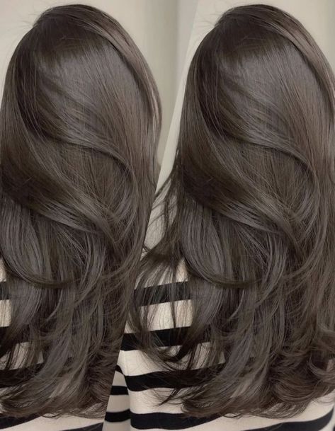 Darkest Ash Brown Hair, Ashy Cool Tone Brown Hair, Brown Hair With Blue Undertones, Dark Charcoal Hair, Dark Ash Brown Hair Color Brunettes, Dark Cool Tone Brown Hair, Icy Brown Hair, Deep Ash Brown Hair, Cool Toned Light Brown Hair