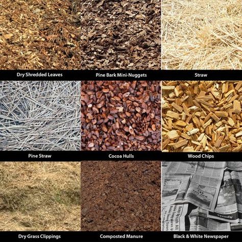 Organic Mulches - Stark Bro's Raised Container Garden, Grass Landscaping, Land Scaping, Compost Mulch, Derek Jarman, Soil Amendments, Garden Mulch, Types Of Mulch, Mulch Landscaping