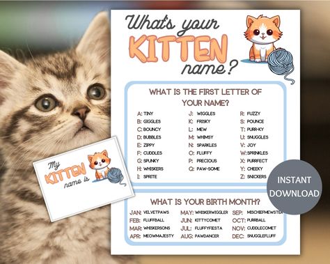 This What's Your Kitten Name Game with Name Tags is a printable PDF and a digital download. This fun name generator game makes the perfect ice breaker game for a kitten birthday party. Use the kitten name game printable for your family game night or as a classroom activity as part of your teacher resources.  Print as many copies as you like, so you can enjoy this cat party game year after year. *What you receive: An instant digital download - nothing will be mailed 2- 8.5 x 11 printable PDFs (print as many as you like)    -1 Kitten name generator game   -1 Kitten name tag template (each tag is 3.5x2.5) Print the name generator on card stock for more durability. Print the Kitten name tags on sticker paper and cut on the lines for each participant. *Find your file: Check your email for a lin Cat Theme Party Games, What's Your Name Game, Funny Name Generator, Classroom Party Games, Cat Games, Kitten Birthday Party, Name Tag Templates, Game Name, Name Game