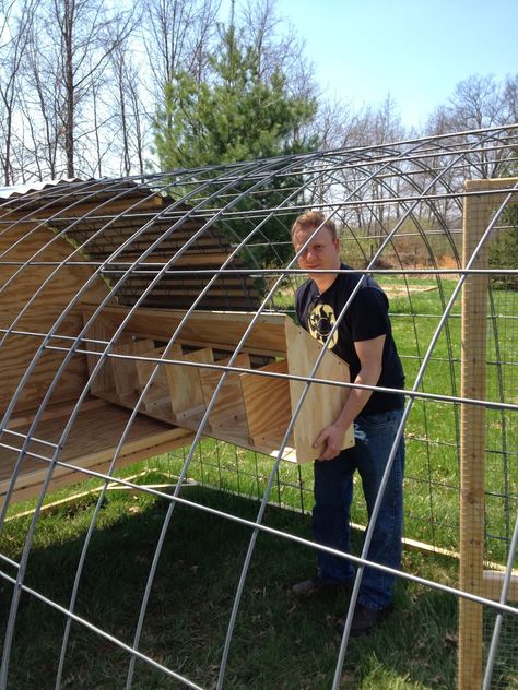 Chicken Tractor Diy Plans, Cattle Panel Chicken Tractor, Hoop Chicken Tractor, Diy Movable Chicken Run, Diy Hoop Chicken Coop, Chicken Coop Hoop House, Diy Chicken Tractor Plans, Movable Chicken Coop Diy, Chicken Tractors Diy