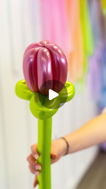 Balloon Flower Bouquet Tutorial, How To Make Flower Balloons Diy, 260 Balloon Flower, Tulip Balloon Bouquet, Backdrop Balloon Ideas, Valentine Day Balloon Ideas, How To Make A Flower Balloon, Diy Balloon Bouquet Tutorials, How To Make Balloon Flower