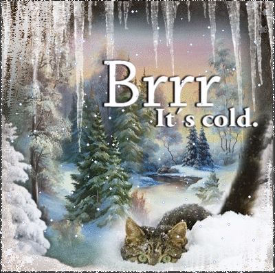 Good Night Cold Weather Quotes, Cold Weather Funny, Cold Weather Quotes, Winter Humor, Good Morning Winter, Morning Winter, Winter Quotes, Winter Cat, Happy Good Morning Quotes