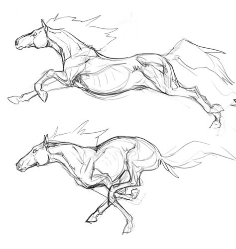 Horse Study Drawing, Horse Herd Drawing, Horse Sketch Anatomy, Animal Anatomy Sketch, Horse Designs Drawing, Horse Drawing Reference Poses, Horse Drawing Tips, Animal Drawing Study, Horse Sketch Tutorial