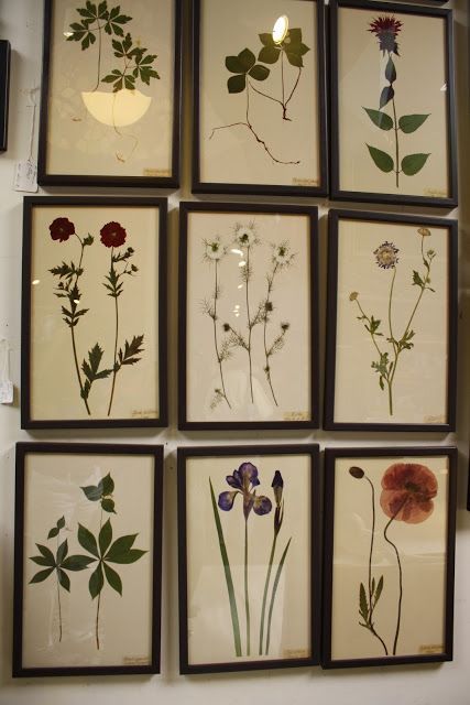 Plant Pressing Art, Dried Tulips In Frame, Flower Press Ideas, Press Bouquet, Press Flowers In A Frame, Things To Do With Dried Flowers, Plant Pressing, Flowers In Frame, Framed Pressed Flowers