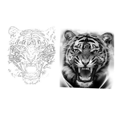 Tiger Head Tattoo Stencil, Tiger Tattoo Stencil Design, Tiger Face Tattoo Stencil, Tiger Tattoo Outline, Tiger Outline Tattoo, Tiger Tattoo Stencil, Face Tattoo Stencil, Tiger Stencil, Tiger Eyes Tattoo