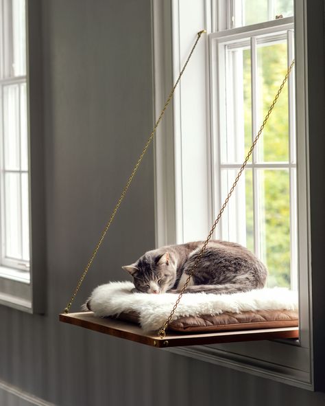 Cat Window Perch | Treat your feline by building her a place in the sun with a window seat that lets her scale new heights, settle in and watch the world (or nap!). Get the how-to here.  #cats #pets #marthastewart #DIY Cat Bed Diy, Katt Diy, Diy Animals, Diy Cat Bed, Katt Grejer, Chat Diy, Kat Diy, Wooden Cat House, Cat Window Perch