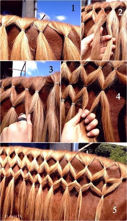 My favorite type of braid, the Diamond braid. Mane Braiding, Horse Mane Braids, Horse Hair Braiding, Horse Braiding, Horse Facts, Horse Riding Tips, Horse Mane, Horse Costumes, Horse Tail