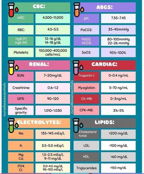 Normal Range Lab Values, Normal Labs Values, Cardiac Lab Values, Cbc With Differential Lab Values, Nurse Lab Values, Clinical Chemistry Notes, Lab Values Cheat Sheet, Nursing Lab Values Cheat Sheets, Clinical Chemistry Laboratory