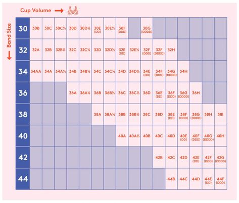 How to measure bra size: Bra size chart with band size and cup volume, 30B to 44F How To Properly Measure Bra Size, How To Know Your Bra Size, How To Measure Bra Size At Home, Measure Bra Size At Home, Bra Measuring, Bra Size Chart, Breast Sizes Chart, Bra Sizing, Bra Cup Size