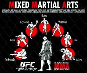 Mixed Martial Arts #MMA techniques. "Fastest growing sport in world" #IamAnAthlete kimurawear.com Ekko League Of Legends, Arts Picture, Mma Workout, Trening Sztuk Walki, George Balanchine, Joseph Pilates, Martial Arts Techniques, Mma Training, Ju Jitsu