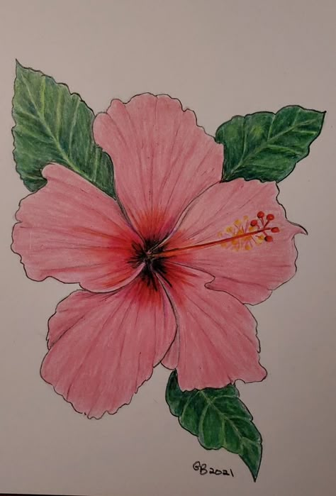 Colored Pencil Art Easy Ideas Flower, Flower Drawing Colourful, Colored Flower Drawing, Flower Drawing Realistic Colored Pencils, Colored Pencil Flowers Simple, Flower Drawings Color, Coloured Pencil Art Ideas, Flower Drawing With Color Pencil, Coloured Pencil Flowers