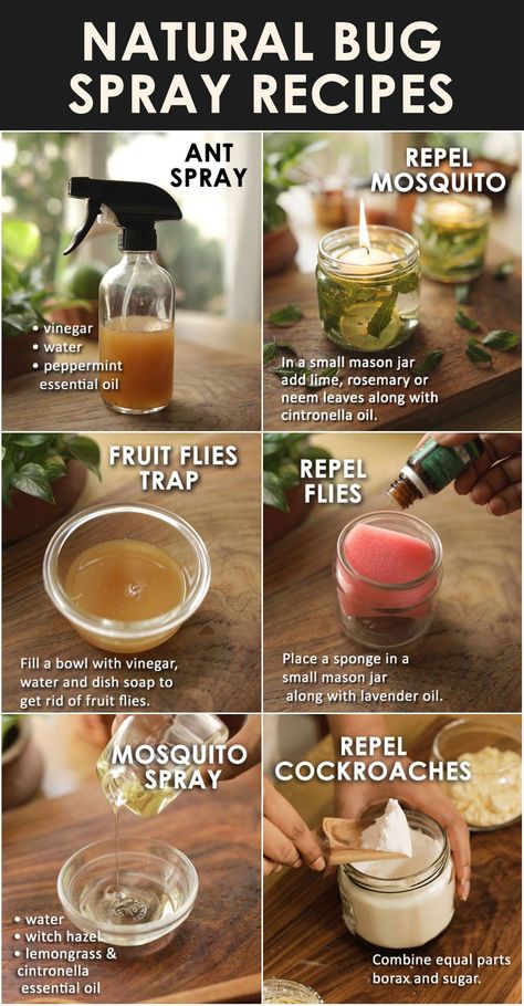 10 BEST delicious and healthy POPSICLE RECIPES - The Little Shine Natural Bug Spray Recipe, Retreat Decor, Diy Bug Repellent, Homemade Bug Spray, Bug Spray Recipe, Natural Bug Spray, Natural Bug Repellent, Natural Mosquito Repellant, Magia Das Ervas