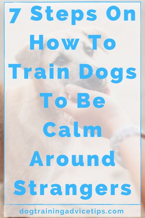 How To Train Dogs, Positive Reinforcement Dog Training, Dog Hand Signals, Train Dogs, Easiest Dogs To Train, Basic Dog Training, Be Calm, Dog Training Advice, Dog Training Videos